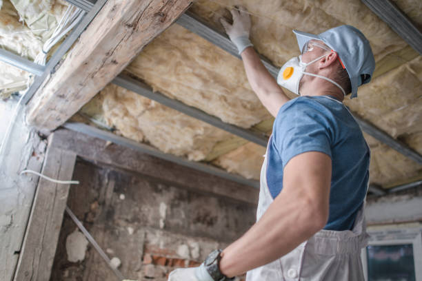 Best Insulation for Specific Applications in Wolf Lake, MI