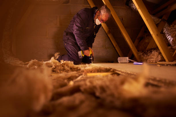 Best Types of Insulation in Wolf Lake, MI