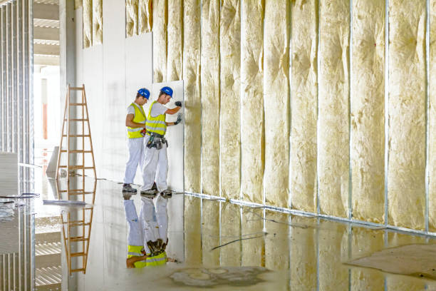 Best Energy Efficiency Solutions in Wolf Lake, MI